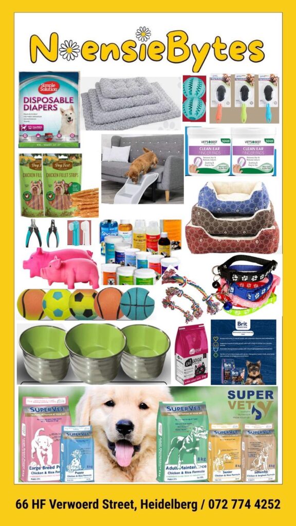 538826481_1343765771092087_1711464094150121700_n