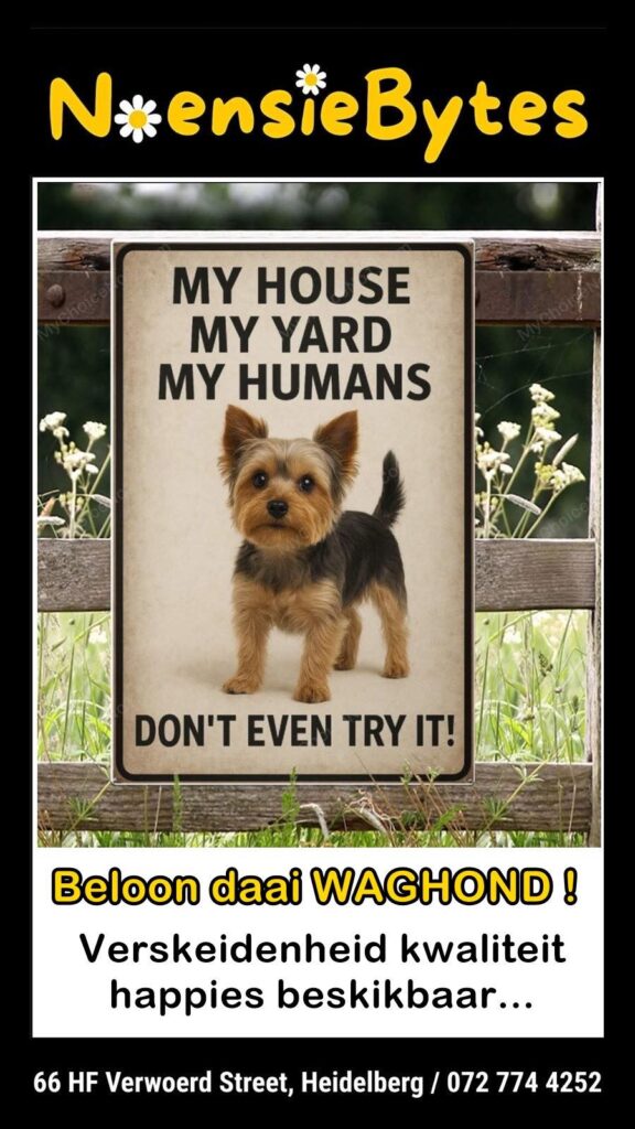 540436650_1346310420837622_7328064669164683131_n