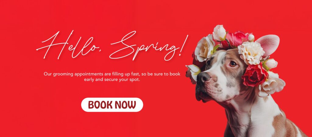 542754199_1416855990449321_1497821992504007999_n