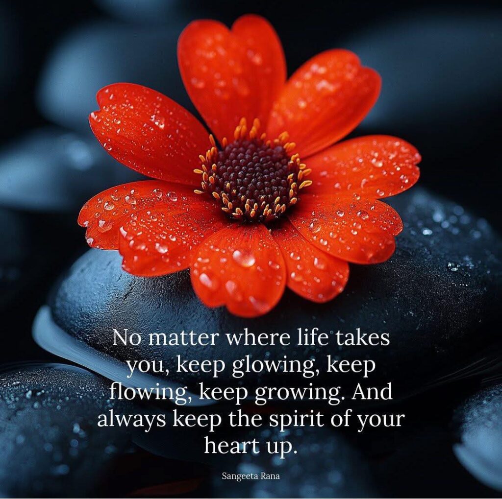 548581339_771677575616581_7934037723738162630_n