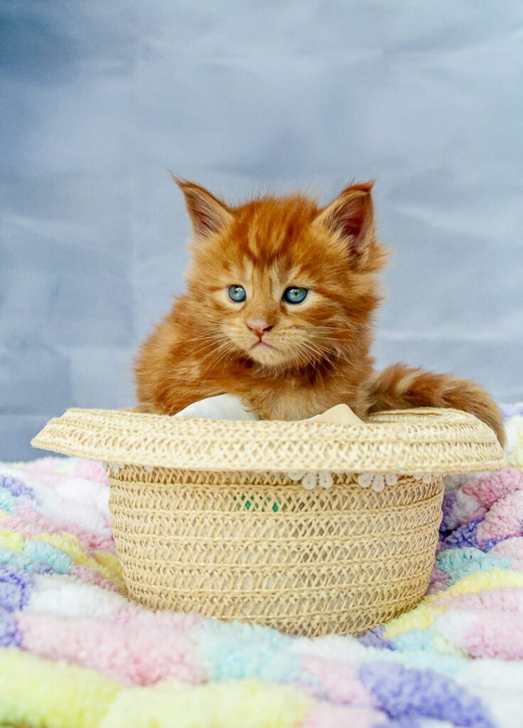 WhatsApp-Image-2025-09-09-at-9.51.39-AM