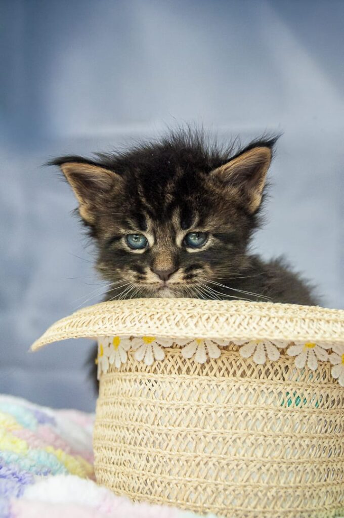 WhatsApp-Image-2025-09-09-at-9.52.15-AM