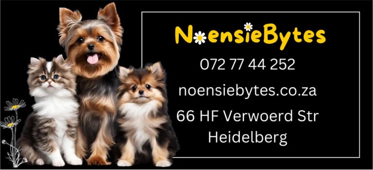 420138744_880121417456527_3578091161044024909_n