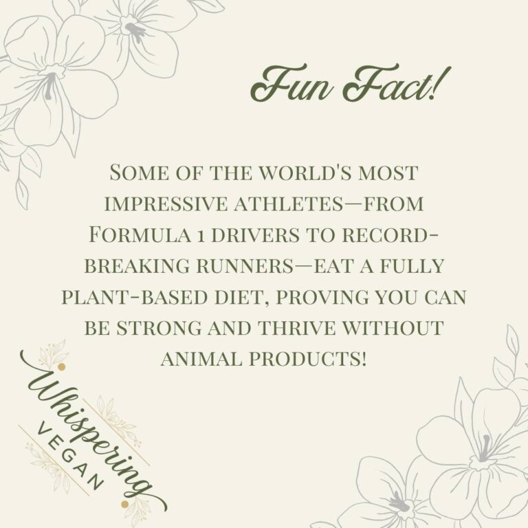 559221820_122153161370766135_4427435154451075128_n