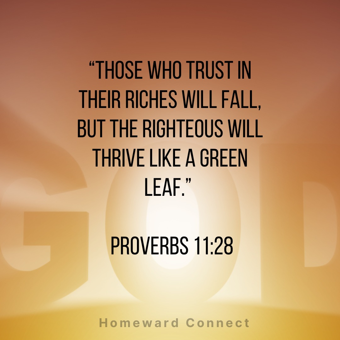 571630171_122105323935068726_8435292614743259435_n