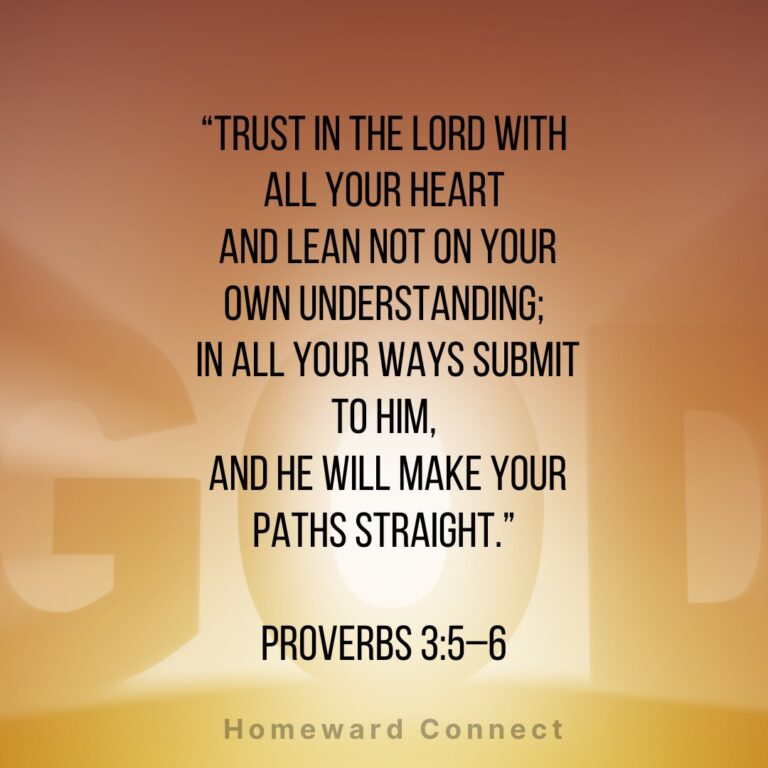 576361606_122105846433068726_3009331048676648427_n