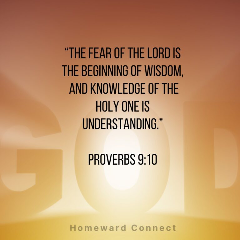 576918180_122105672283068726_5536339205699908262_n