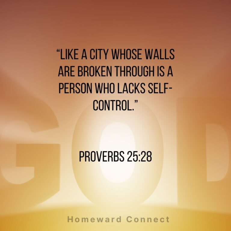 577581940_122106026547068726_7451339230224418977_n