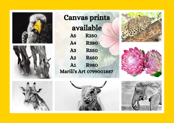 578006289_1141138344670489_6757738081731735450_n