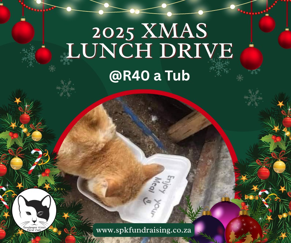 578265945_1281212964051288_8431647929791308427_n