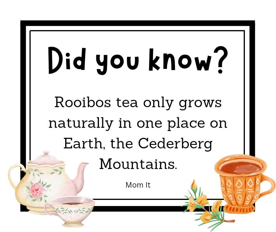 582446266_122235275882088290_8257438221761551062_n