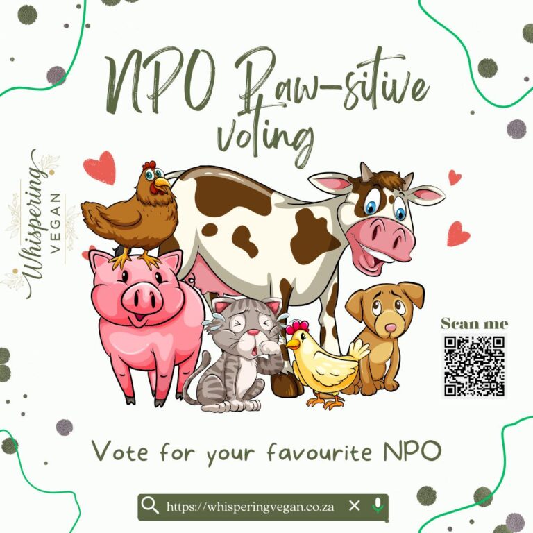 584969935_122158048058766135_5846983113012626738_n