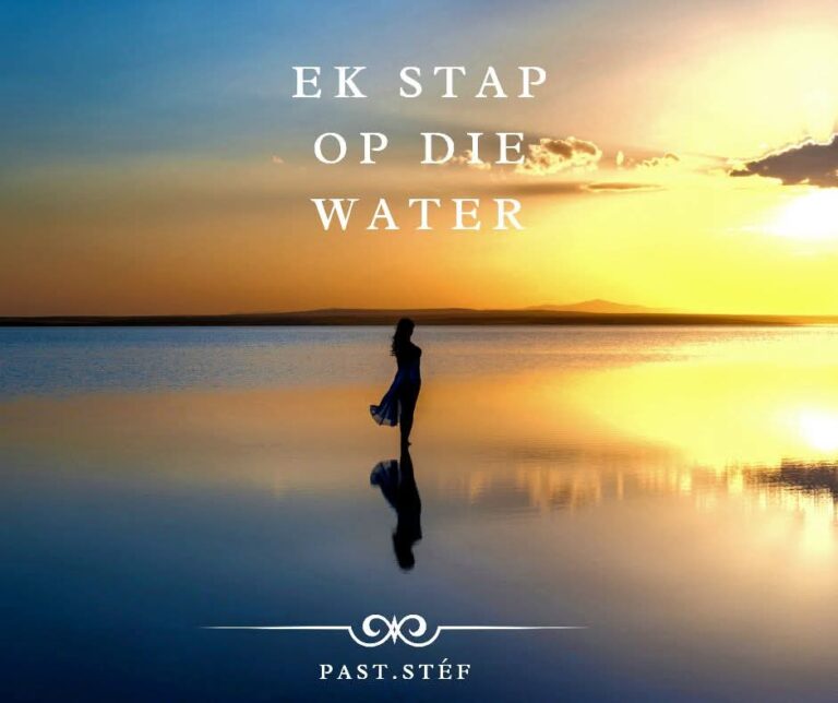 WhatsApp Image 2025-11-14 at 12.15.53 PM (1)