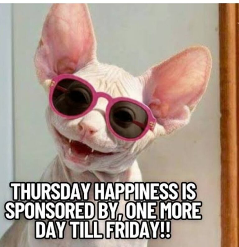 594903275_122193716216788095_1863531423090481690_n (1)