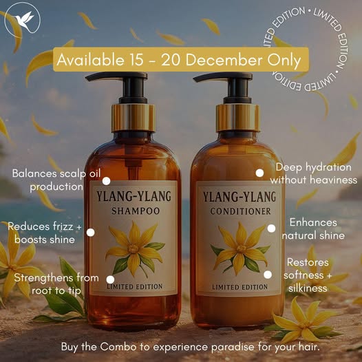 597935161_840219975429007_3389202721493755117_n