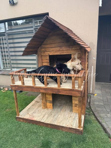 598652604_122294877158167804_915651361243747541_n