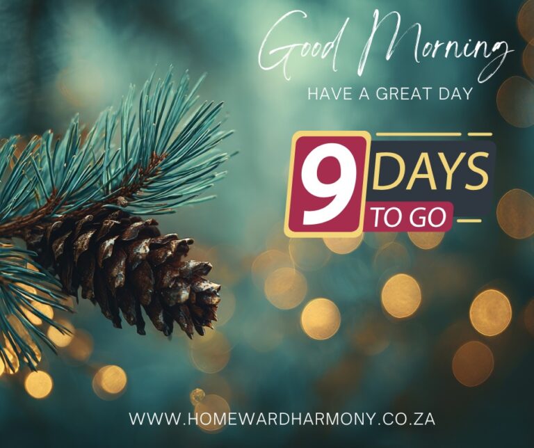 599929482_122112006585068726_3945793638610704955_n