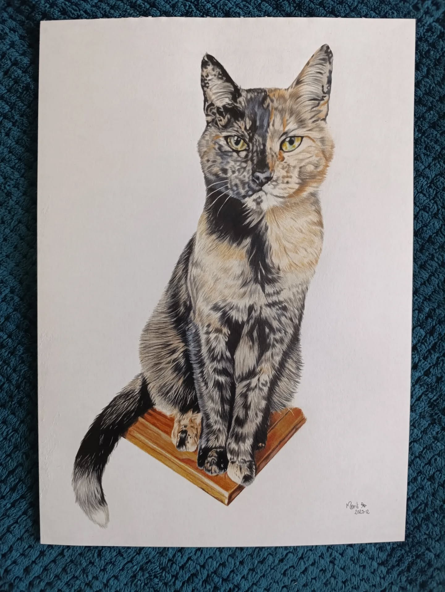 600794664_18307937497268762_4243016350330125516_n