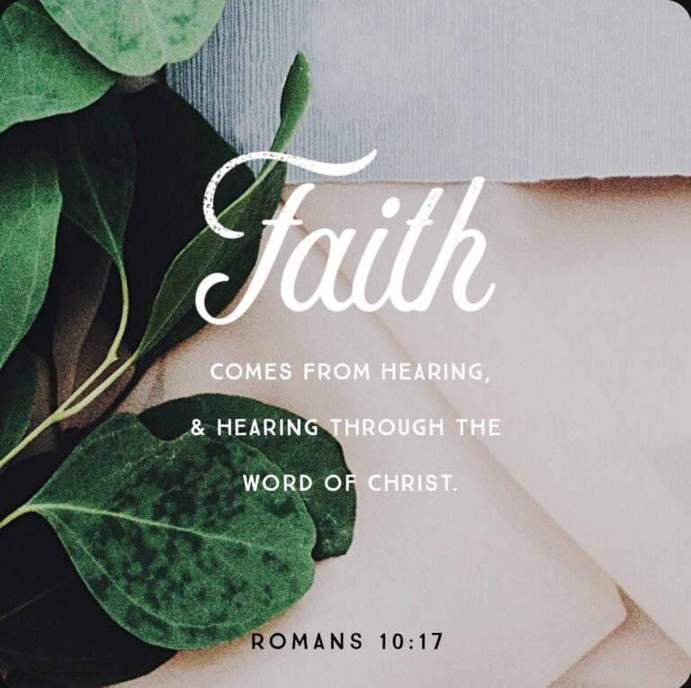 WhatsApp Image 2025-12-15 at 7.10.20 AM